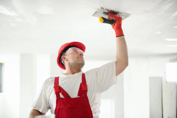 Best Drywall Crack Repair  in Country Lake Estates, NJ